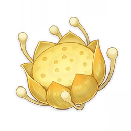 nilopalotus (tighnari, layla)
