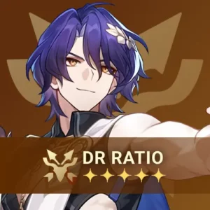 pp-dr-ratio