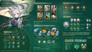 feixiao-vent-chasse-guide-synthese