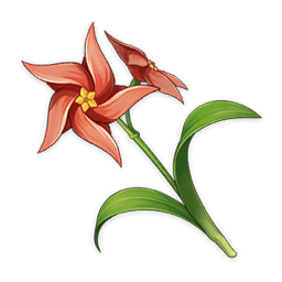 chrysanthème à aube (sucrose, bennett)