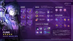 flins-electro-lance-guide-synthese