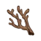 Branche_marine_de_corail Branche_marine_de_corail