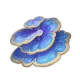 Champignon_sacramental