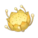 Item_Nilotpala_Lotus