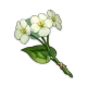 Item_Qingxin