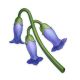 Muguet_bleu