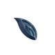 Os_nélucide