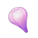 fruit_Amakumo