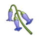 muguet_bleu